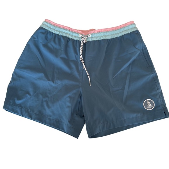 Chubbies Men's Swim Trunks Shorts Blue Pink Pineapple Logo L Large - Picture 1 of 10